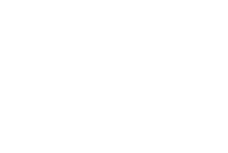 Ace Electric, Inc.